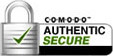 secure 128bit SSL certificate